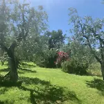 San Lorenzo