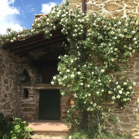 San Lorenzo Villa *