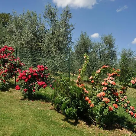Villa San Lorenzo Monte San Savino